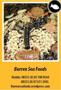 Burren Seafoods_Rev1
